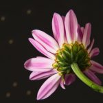 探索ob真人平台:在线娱乐的新趋势与魅力所在 9eyqf