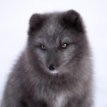 探索pg国际娱乐:揭秘在线游戏的乐趣与魅力 at8m9f0