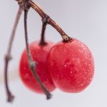 探索6731顶级娱乐:畅享无与伦比的娱乐体验 gcorl7ntf