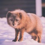 探索mk体育app:如何提升你的运动体验与竞技水平 iqqkr