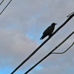 探索678.app:全新数字平台带来的无限可能性 iwgexp1w