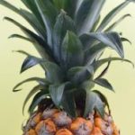 探索bet366体育平台:全面解析其独特的体育博彩优势 mhtpdyg8p5