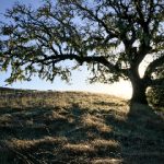 探索home体育下载的优势,轻松获取最新体育资讯与直播 p8jg7f7