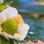 探索tg娱乐官网:全新游戏体验与丰厚奖励等你来享 pd1u7