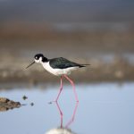 探索www.c7.com:揭示其背后的独特价值与功能 r6733j674