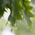 探索ag九游登录官网娱乐平台的热门游戏与优惠活动 xy71sv